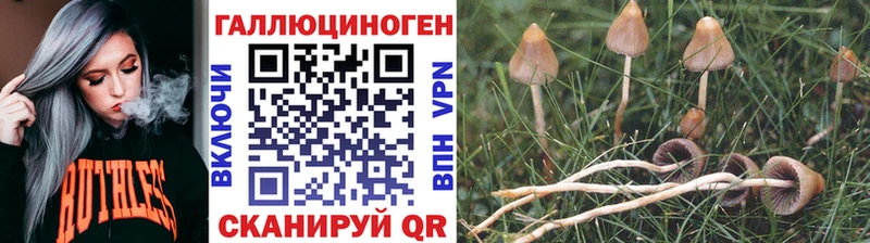 Галлюциногенные грибы GOLDEN TEACHER  Тюкалинск 